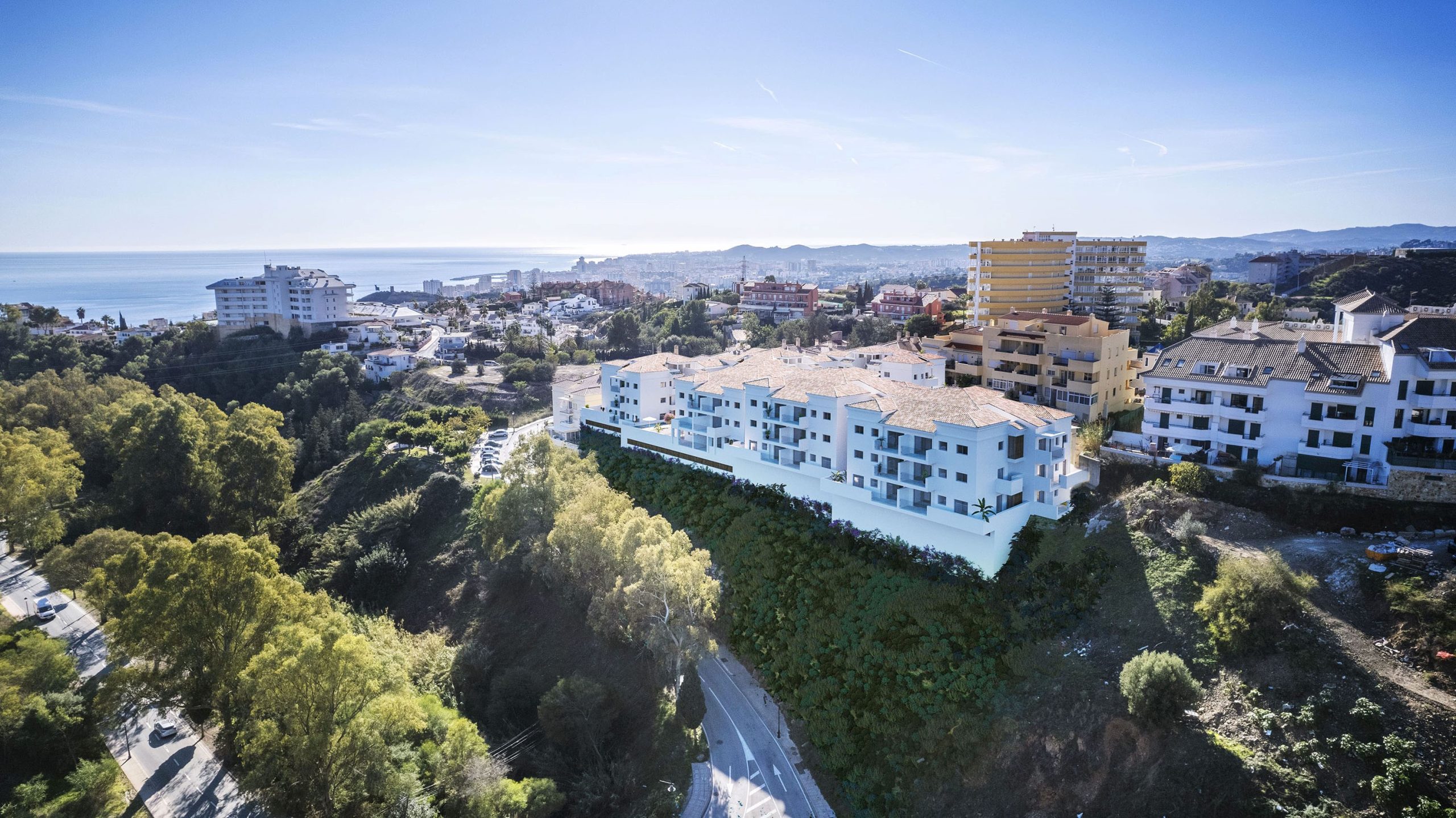 Pine Hill — 6